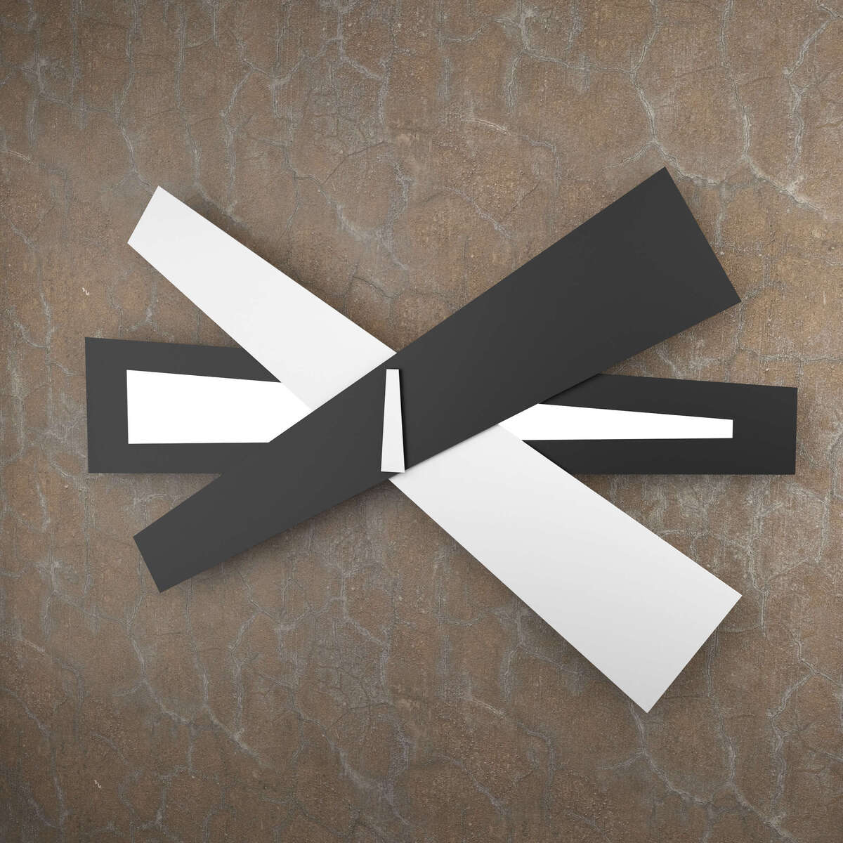 RIBBON APPLIQUE D.105 CM. 2 LUCI BIANCO/NERO