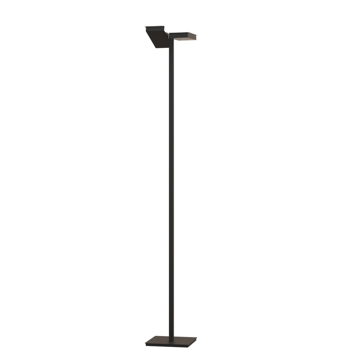 1167/T-NE STYLE PIANTANA 6 LUCI NERO